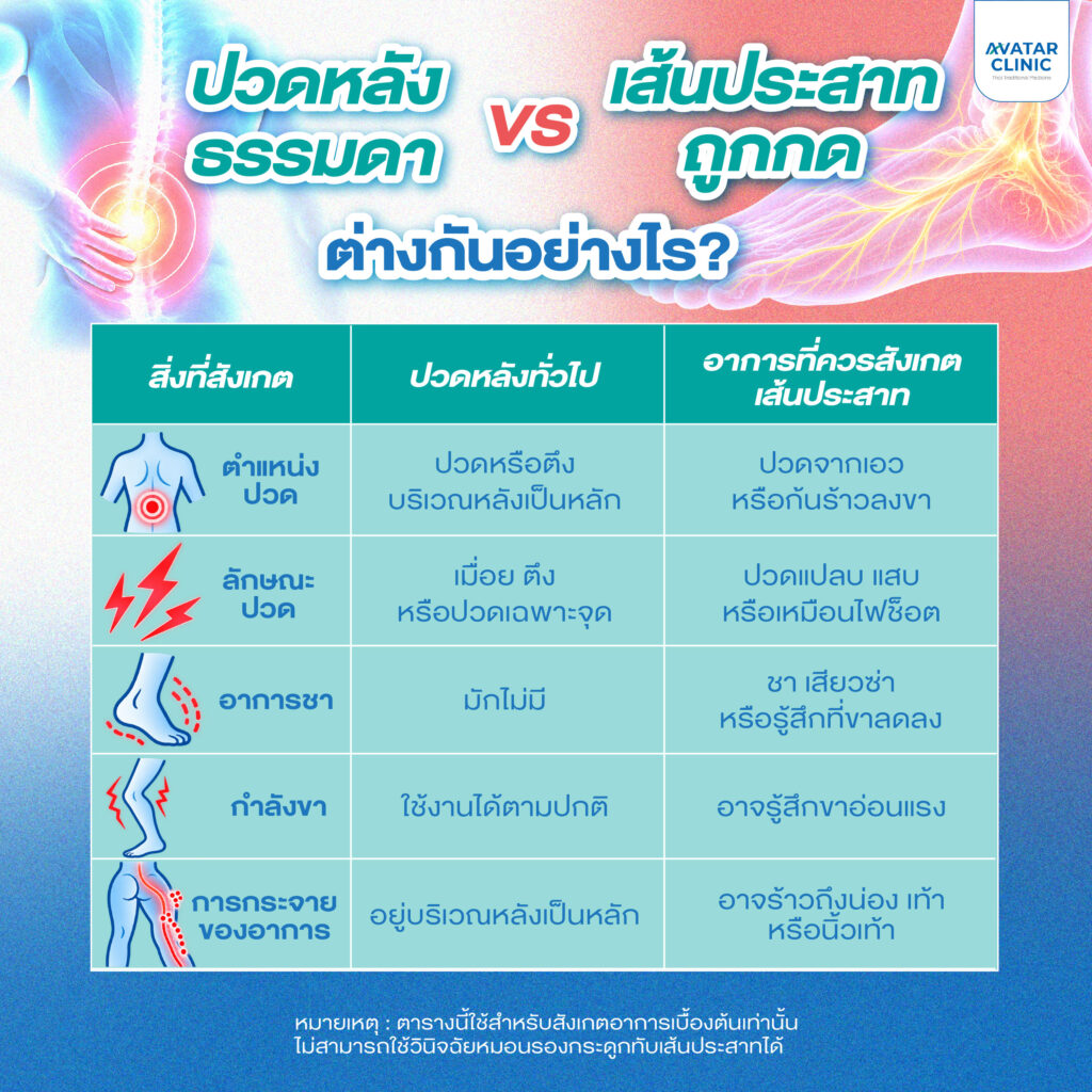 ปวดหลังธรรมดา vs เส้นประสาทถูกกด ต่างกันอย่างไร