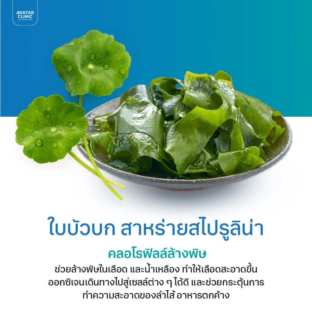 ใบบัวบก สาหร่ายสไปรูลิน่า