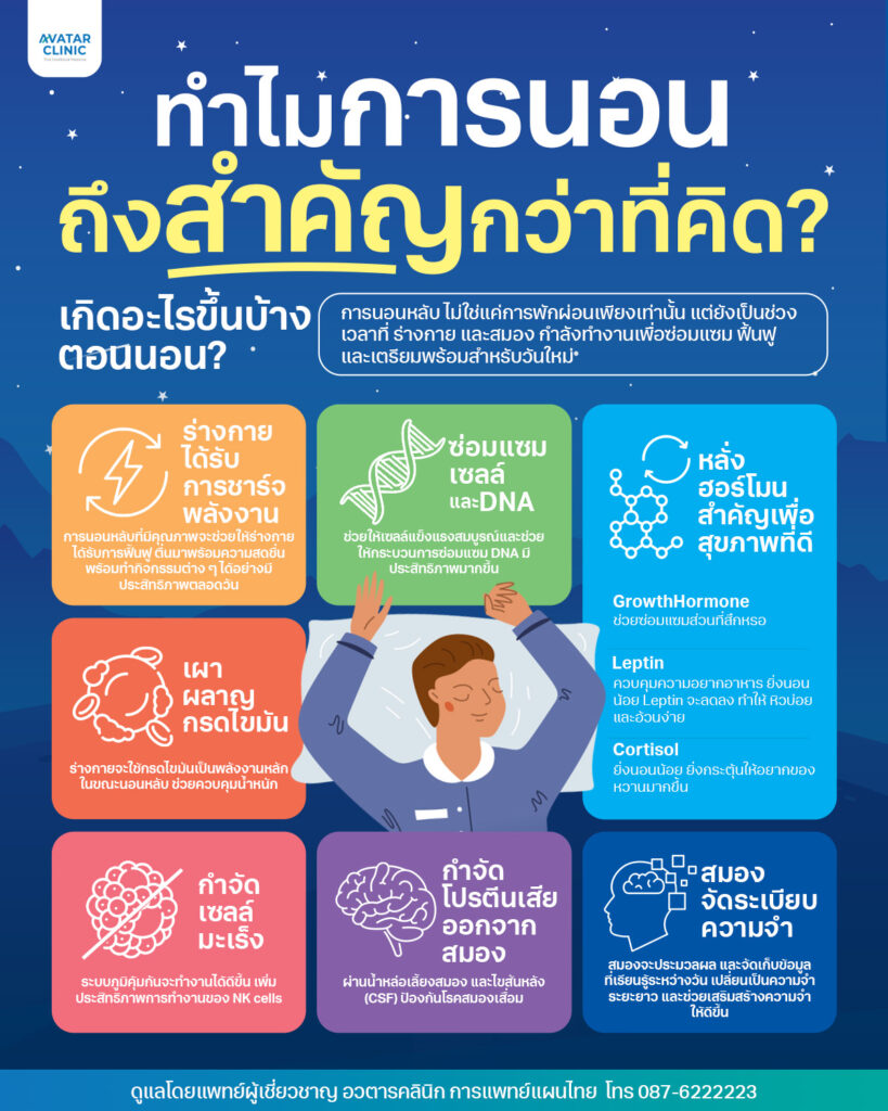 ทำไมการนอนถึงสำคัญกว่าที่คิด เกิดอะไรขึ้นบ้างตอนนั้น 
ร่างกายได้รับการชาร์จพลังงาน

การนอนหลับที่เพียงพอและมีคุณภาพ จะช่วยให้ร่างกายได้รับการพักผ่อน และฟื้นฟู ช่วยให้ระบบต่าง ๆ ในร่างกายทำงานได้อย่างมีประสิทธิภาพ ตื่นมาด้วยความสดชื่น พร้อมทำกิจกรรมต่าง ๆ ตลอดวัน

ซ่อมแซมเซลล์ และ DNA

การนอนหลับ มีส่วนช่วยสำคัญในการซ่อมแซมความเสียหายของเซลล์ รวมถึง DNA ที่เสียหายจากการใช้งานตลอดทั้งวัน

หลั่งฮอร์โมนสำคัญ เพื่อสุขภาพที่ดี

Growth Hormone ซึ่งจะถูกหลั่งออกมาในช่วงหลับลึก ช่วยฟื้นฟู และซ่อมแซมส่วนที่สึกหรอ

Leptin ควบคุมความอยากอาหาร ถ้านอนไม่ดี Leptin จะลดลง ทำให้ความอยากอาหารเพิ่มขึ้น โดยเฉพาะอาหารที่มีคาร์โบไฮเดรตสูง

Cortisol ยิ่งนอนน้อย ยิ่งกระตุ้นให้ความอยากอาหารเพิ่มขึ้น โดยเฉพาะอาหารที่มีน้ำตาล และไขมันสูง เพื่อรับมือกับความเครียด

เผาผลาญกรดไขมัน

ในระหว่างนอนหลับ ร่างกายจะใช้กรดไขมันเป็นพลังงานหลัก ช่วยให้เกิดการเผาผลาญพลังงานได้ดีขึ้น ซึ่งส่งผลดีต่อการควบคุมน้ำหนัก

ป้องกัน และกำจัดเซลล์มะเร็ง

การนอนหลับที่เพียงพอ และมีคุณภาพ จะช่วยกระตุ้นเซลล์ภูมิคุ้มกันให้ทำงานได้ดีขึ้น เช่น NK Cell ซึ่งมีหน้าที่กำจัดสิ่งแปลกปลอมที่เป็นอันตราย เช่น เซลล์ที่ติดเชื้อไวรัส และเซลล์มะเร็ง

กำจัดโปรตีนเสียออกจากสมอง

ระหว่างการนอนหลับ ร่างกายกำจัดโปรตีนอะไมลอยด์ (Amyloid protein) ซึ่งเป็นโปรตีนเสียที่อาจเป็นอันตรายต่อระบบประสาท และเพิ่มความเสี่ยงต่อโรคสมองเสื่อม ผ่านทางน้ำหล่อเลี้ยงสมอง และไขสันหลัง (CSF: Cerebrospinal Fluid) โดยกระบวนการนี้จะมีประสิทธิภาพมากที่สุดขณะนอนหลับ

สมองจัดระเบียบความจำ

สมองจะประมวลผล และจัดเก็บข้อมูลที่เรียนรู้ระหว่างวัน เปลี่ยนเป็นความจำระยะยาว อีกทั้งยังช่วยเสริมสร้างความจำให้ดีขึ้น และเรียนรู้ได้อย่างมีประสิทธิภาพ
