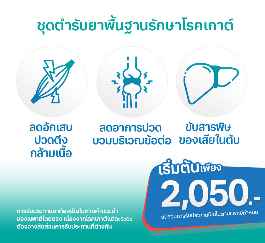 ชุดตำรับยาพื้นฐานรักษาโรคเกาต์